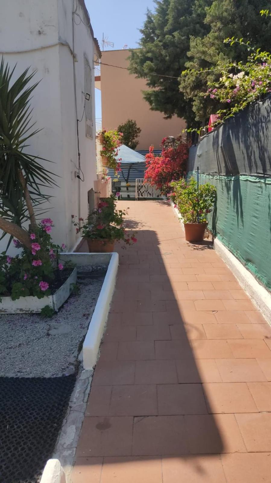 Garden Green Da Virna Torre Annunziata Eksteriør bilde
