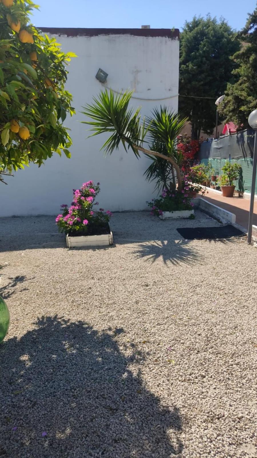 Garden Green Da Virna Torre Annunziata Eksteriør bilde