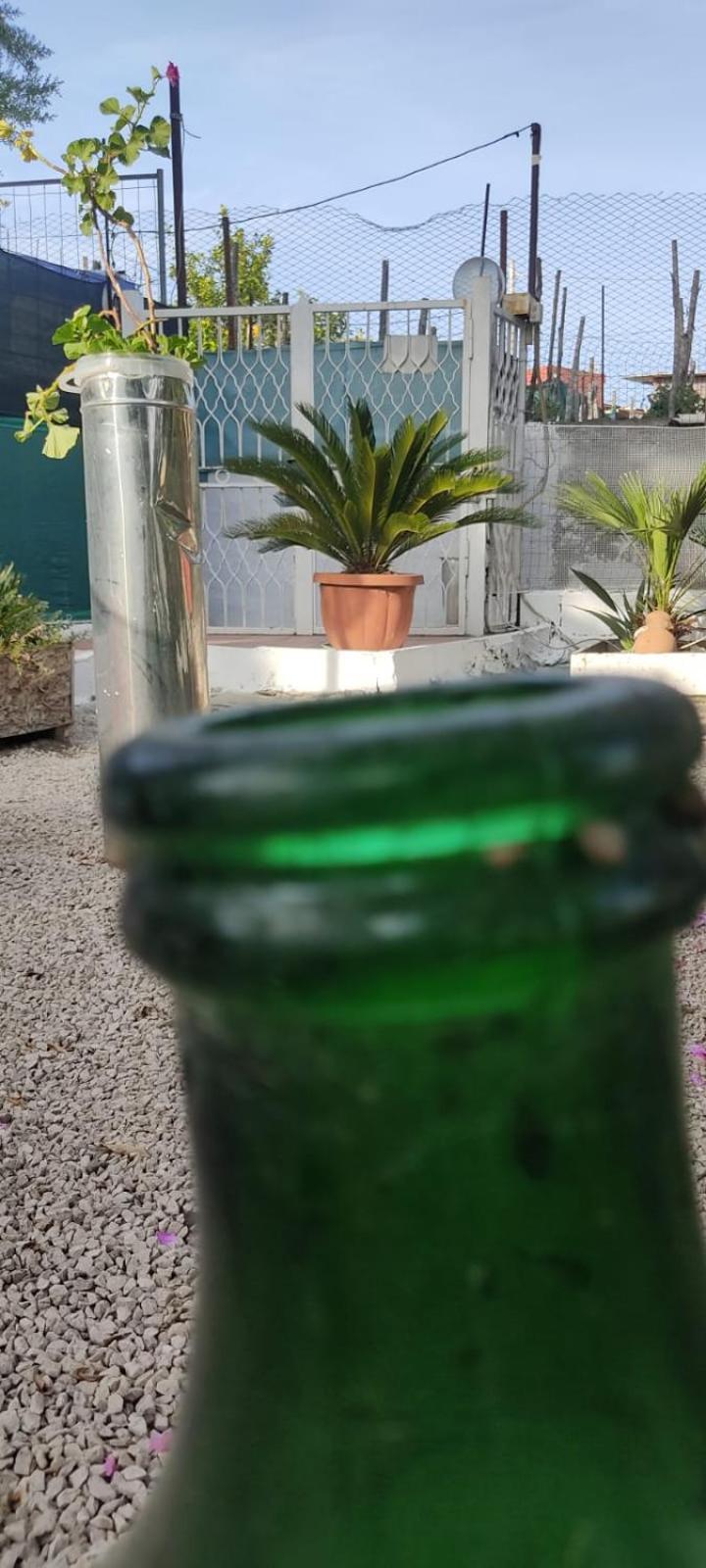Garden Green Da Virna Torre Annunziata Eksteriør bilde