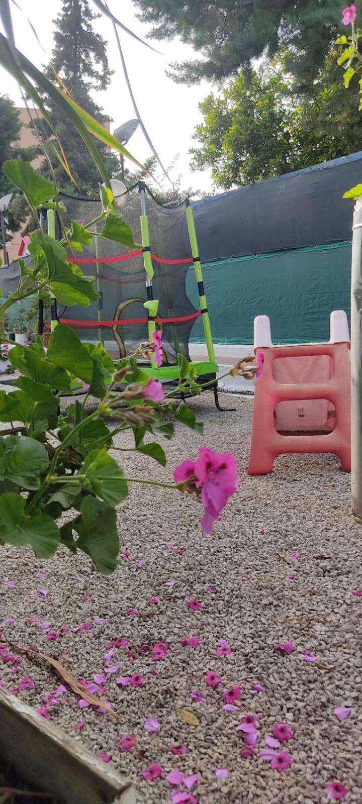 Garden Green Da Virna Torre Annunziata Eksteriør bilde