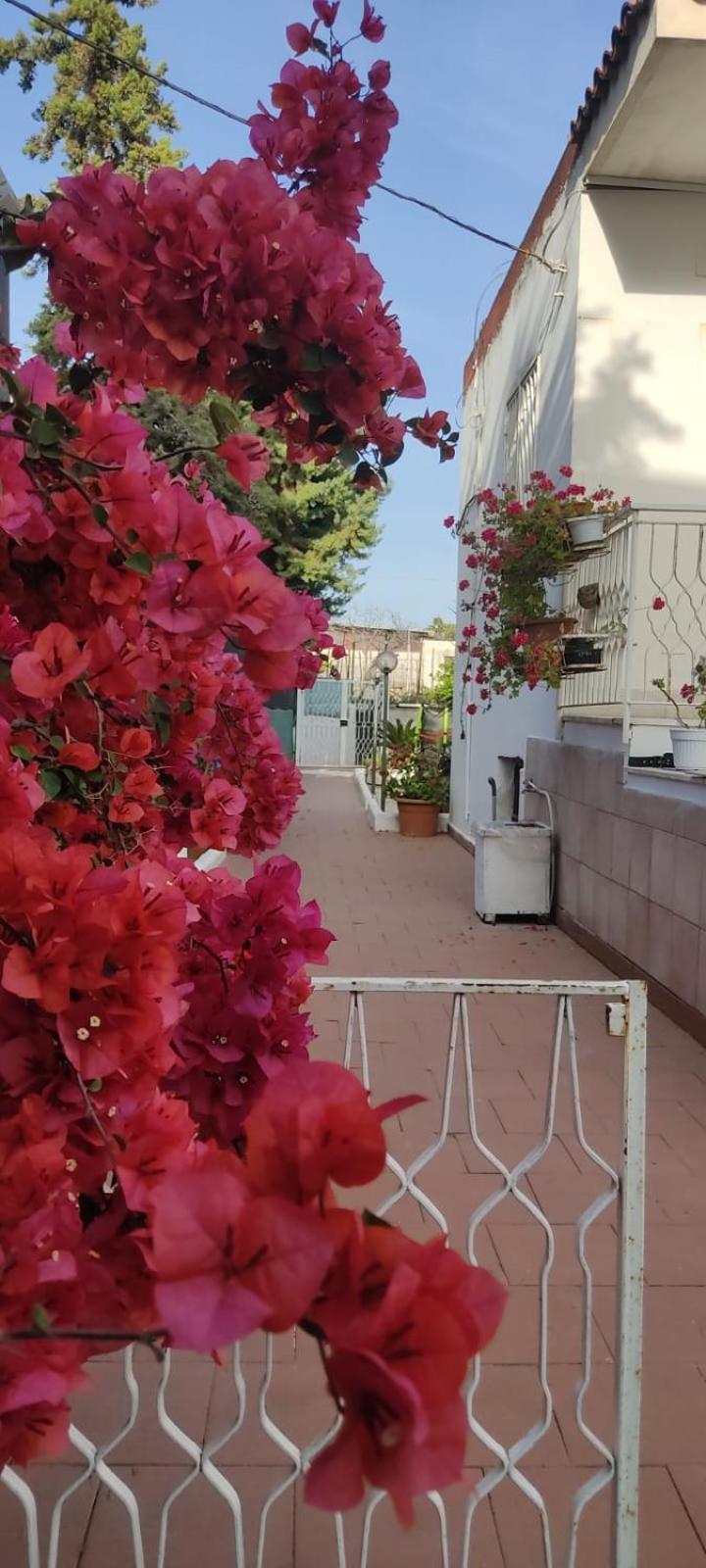 Garden Green Da Virna Torre Annunziata Eksteriør bilde