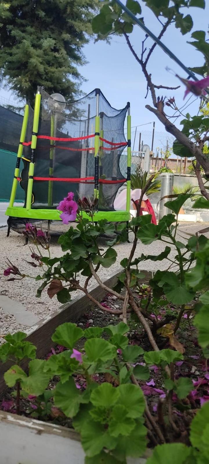Garden Green Da Virna Torre Annunziata Eksteriør bilde
