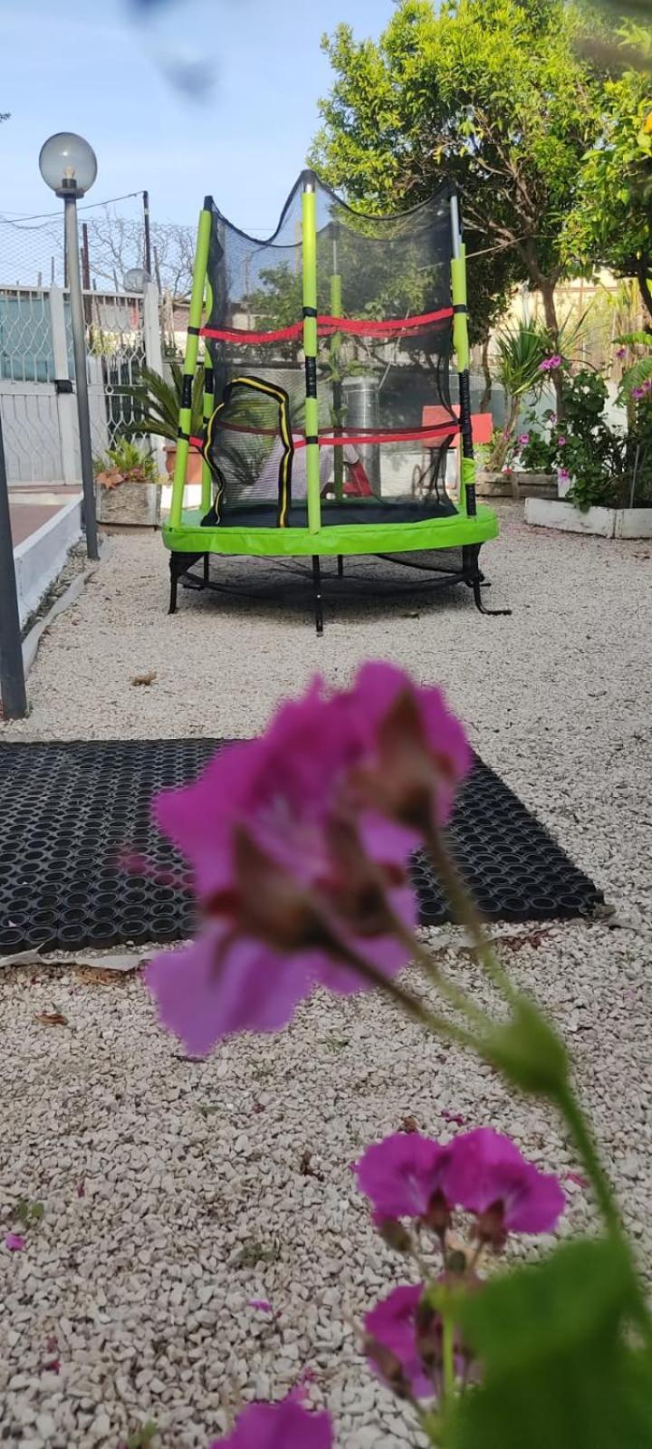 Garden Green Da Virna Torre Annunziata Eksteriør bilde