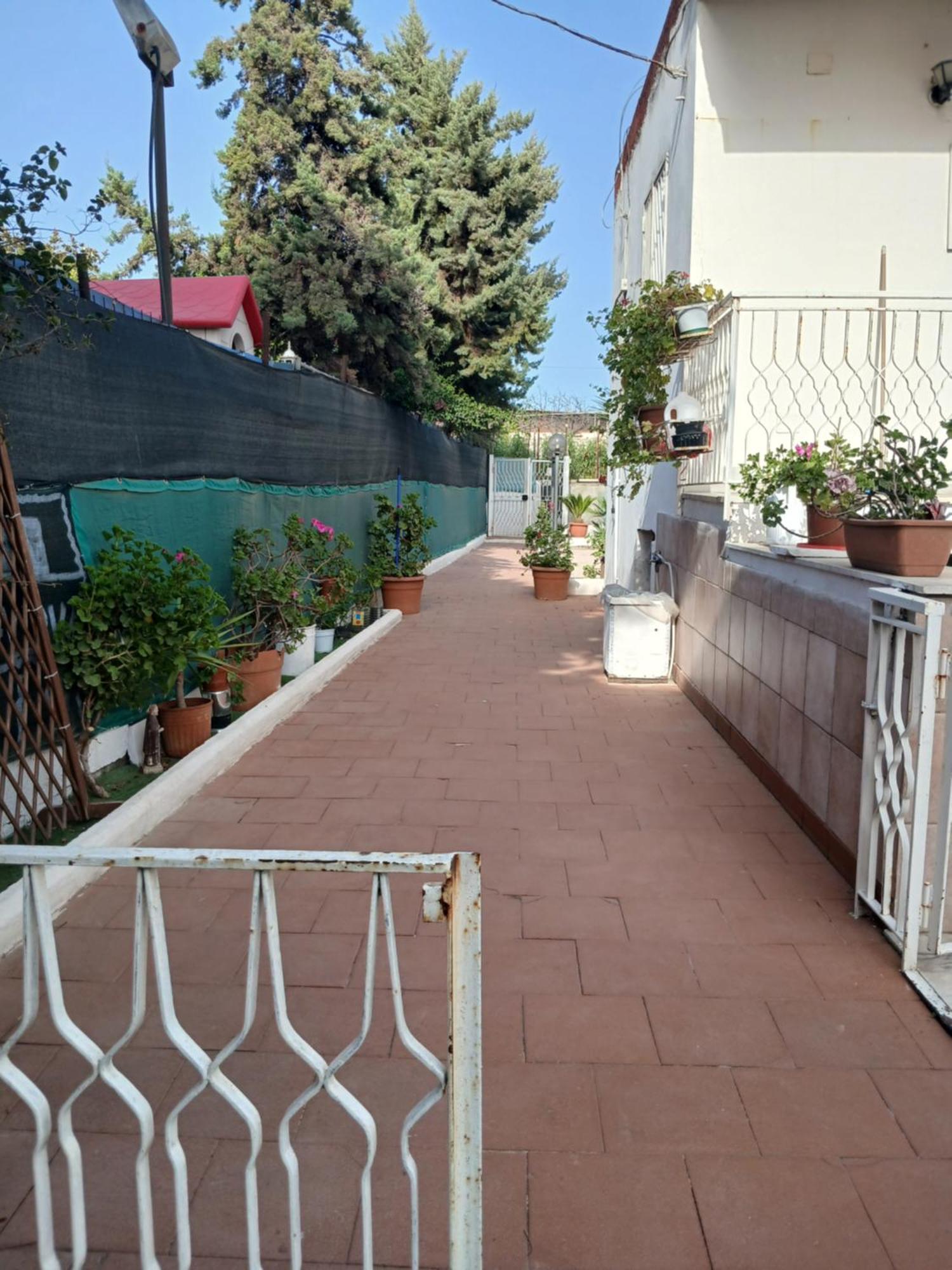Garden Green Da Virna Torre Annunziata Eksteriør bilde