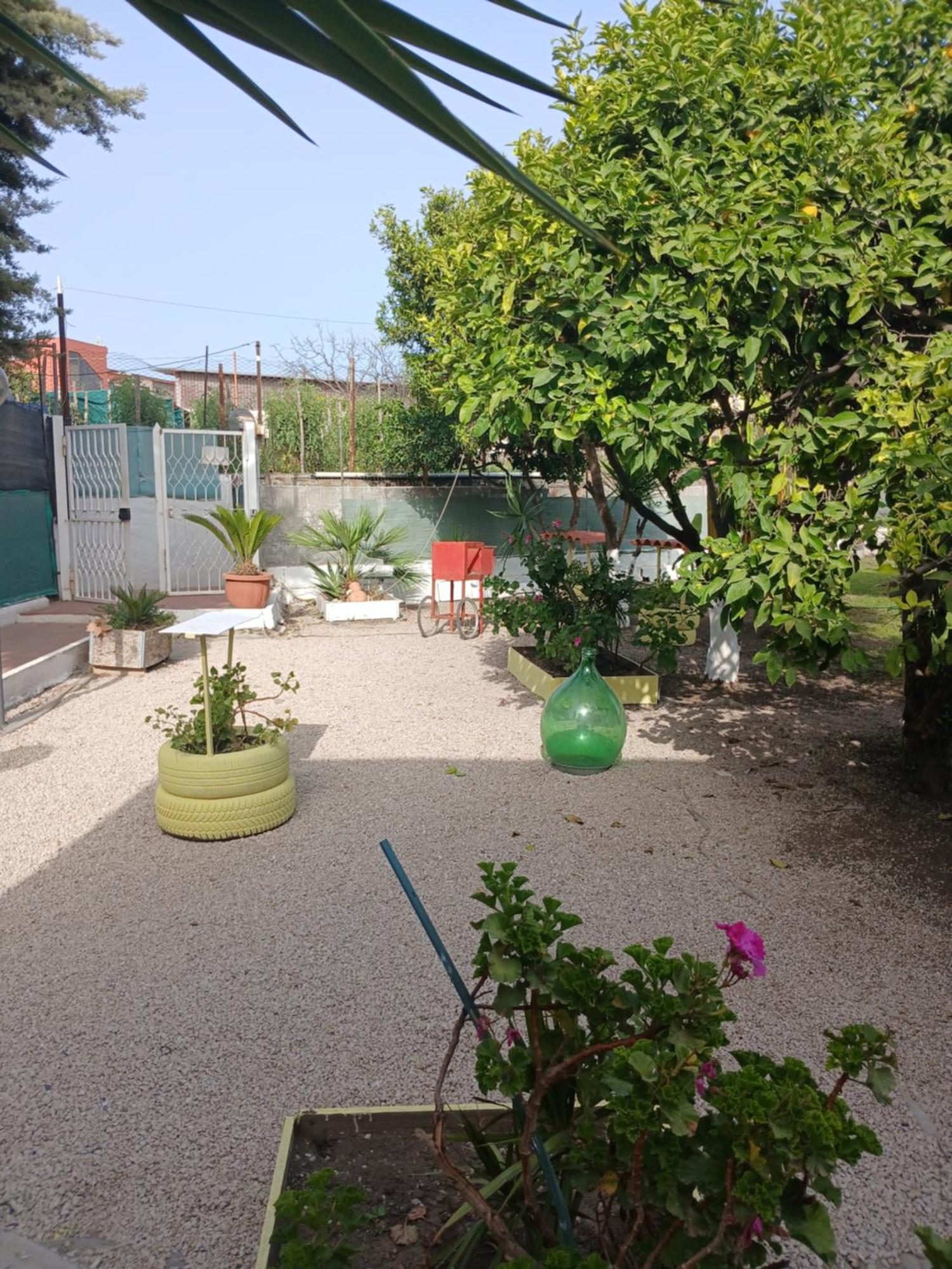 Garden Green Da Virna Torre Annunziata Eksteriør bilde